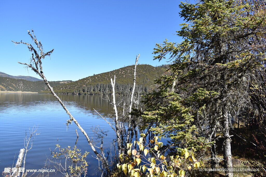宁静湖畔山林美景