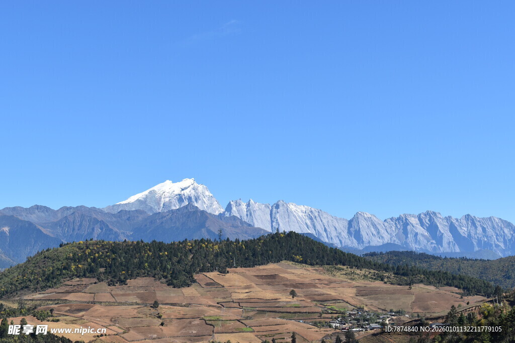 雪山下的山林风光