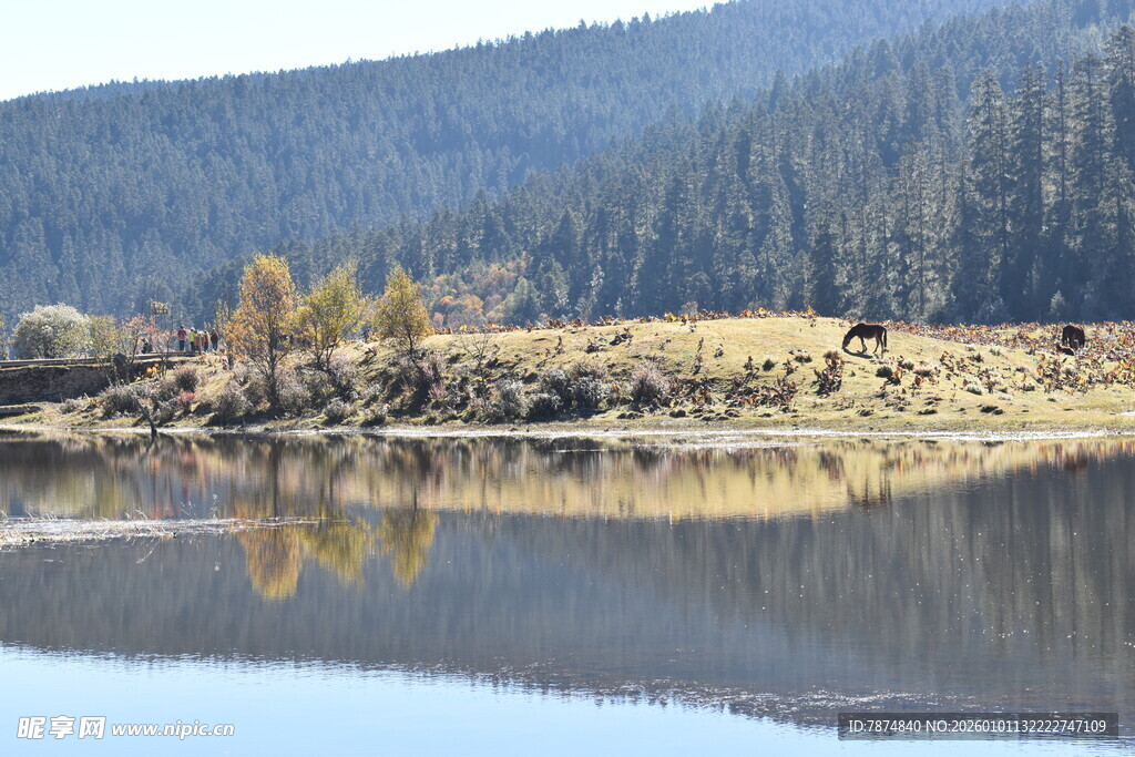 宁静湖畔山林美景