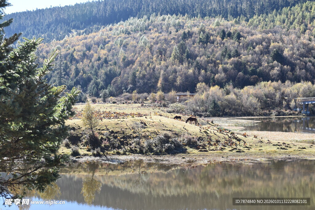 湖畔山林风光美景