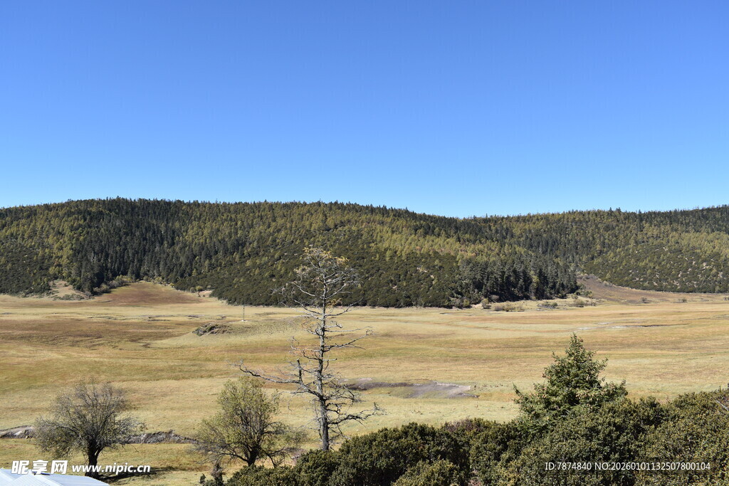 广袤原野与葱郁山林景观