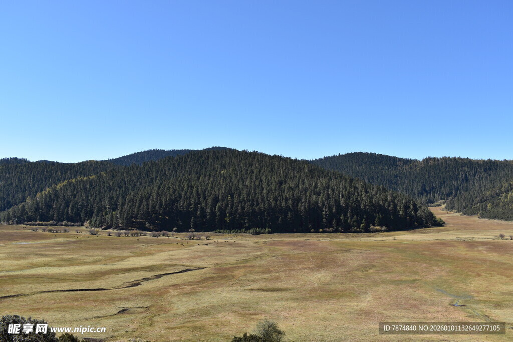 广袤原野与葱郁山林景观
