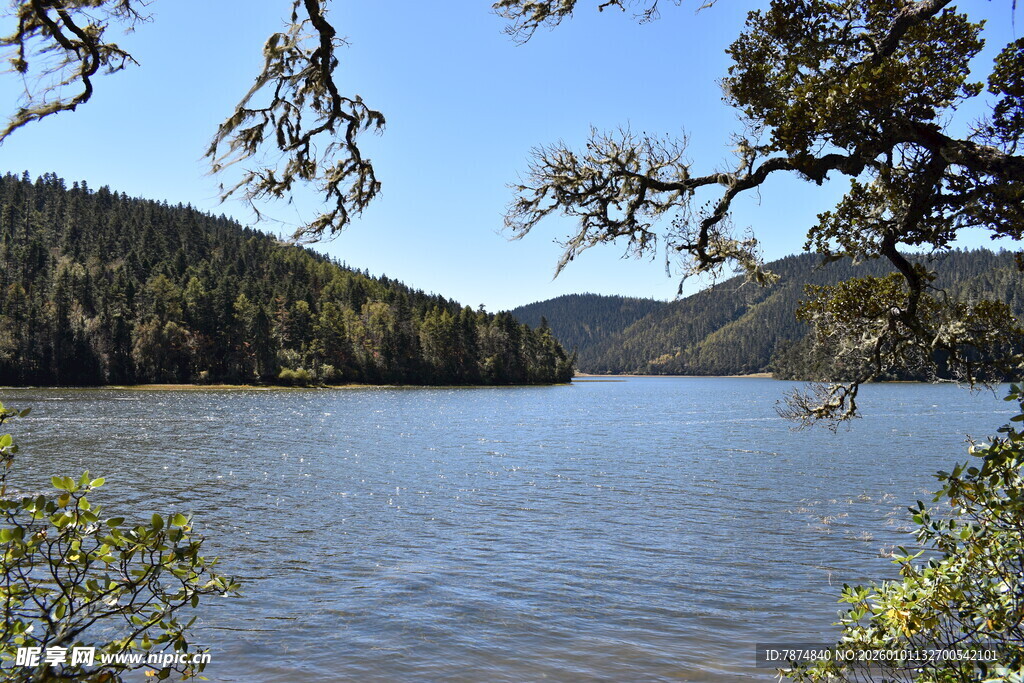 湖畔山林美景