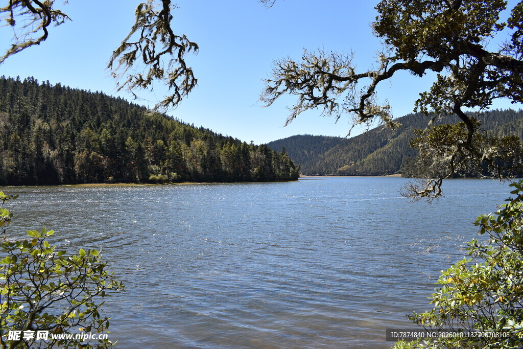 宁静湖畔山林美景
