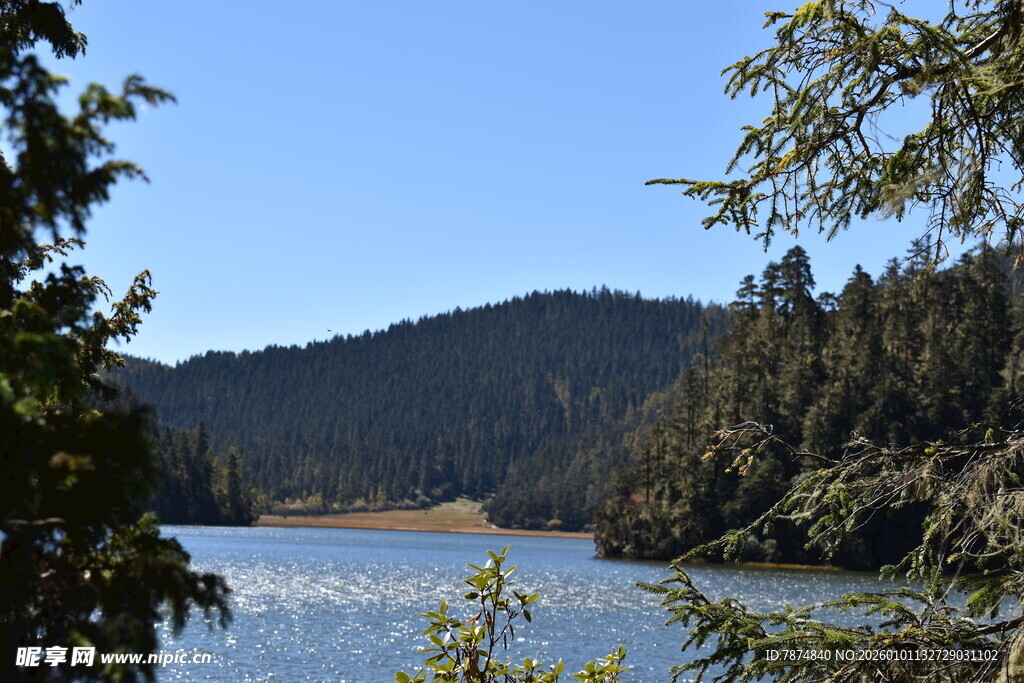 宁静湖畔山林美景