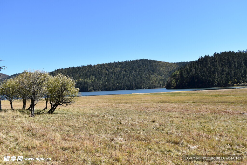 草原湖泊边的静谧风光
