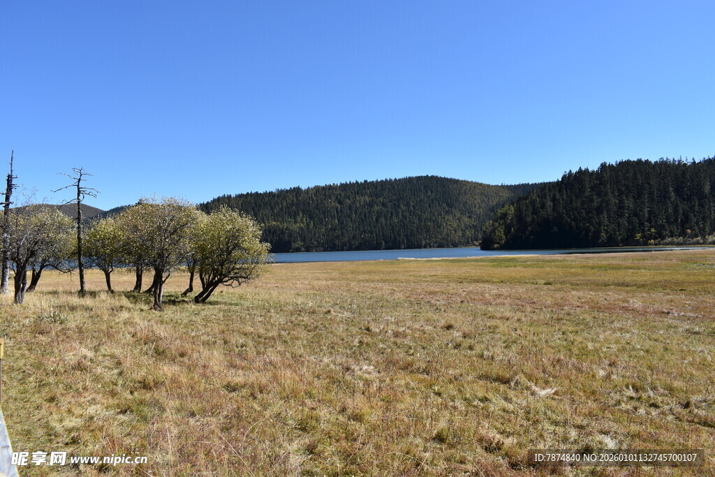 草原湖畔风光