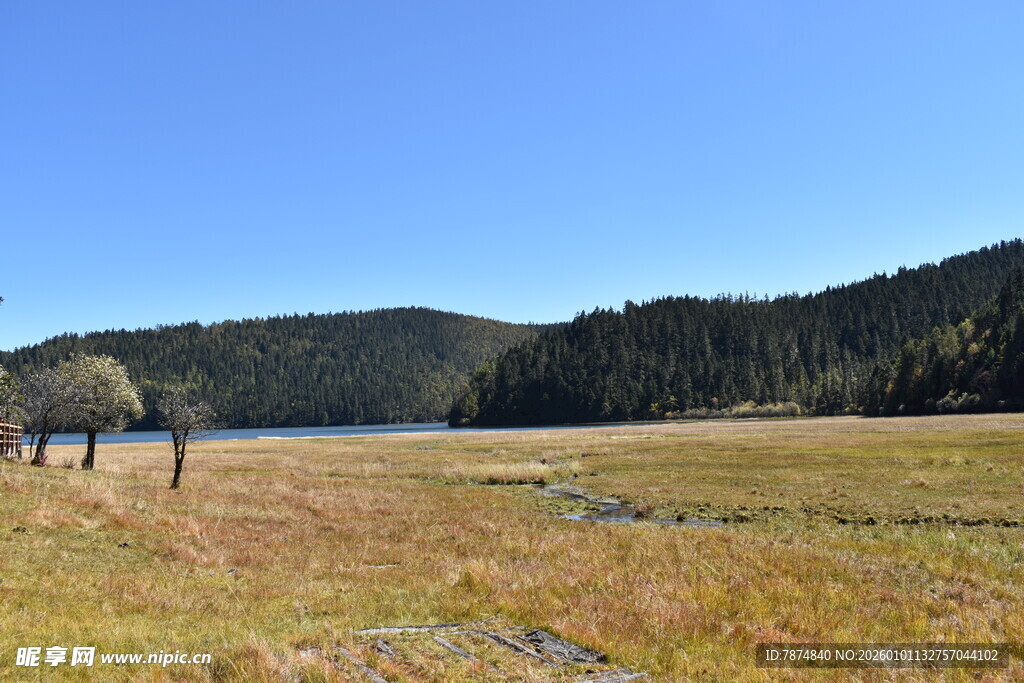 草原山林间的开阔美景