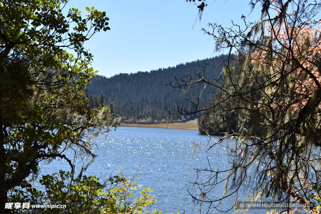 湖畔山林美景