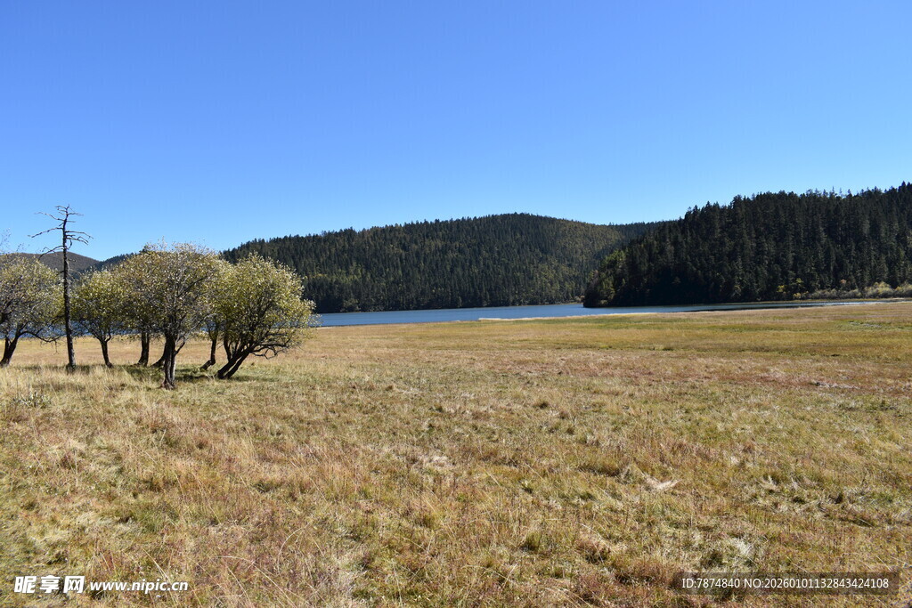 草原湖畔风光