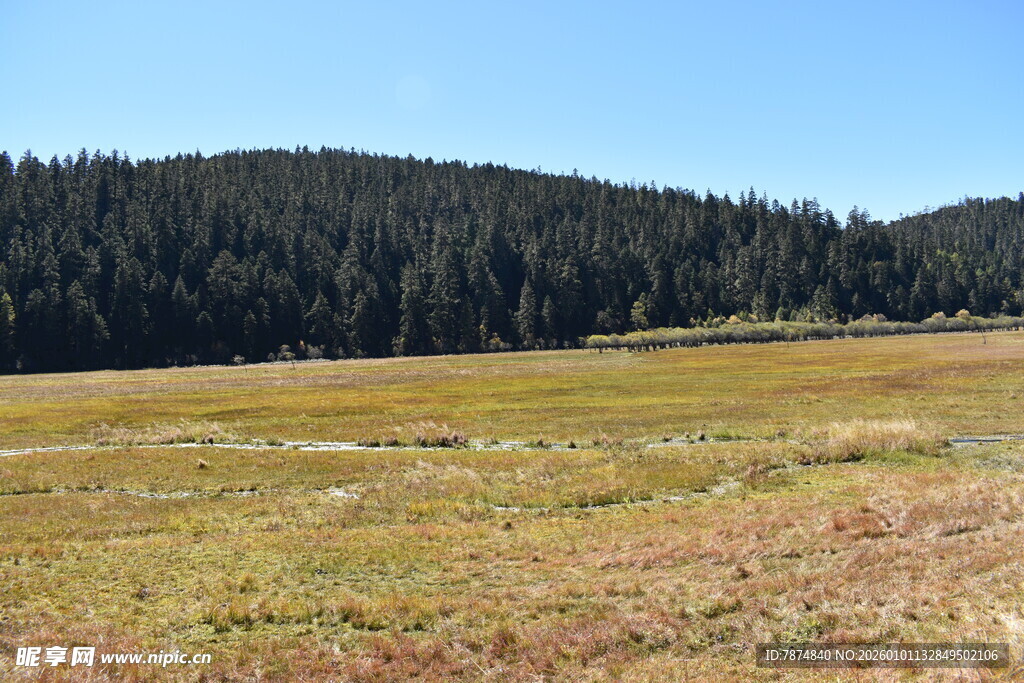 广袤草原与远处山林景色