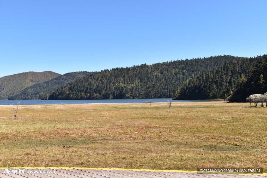 湖畔草原风光