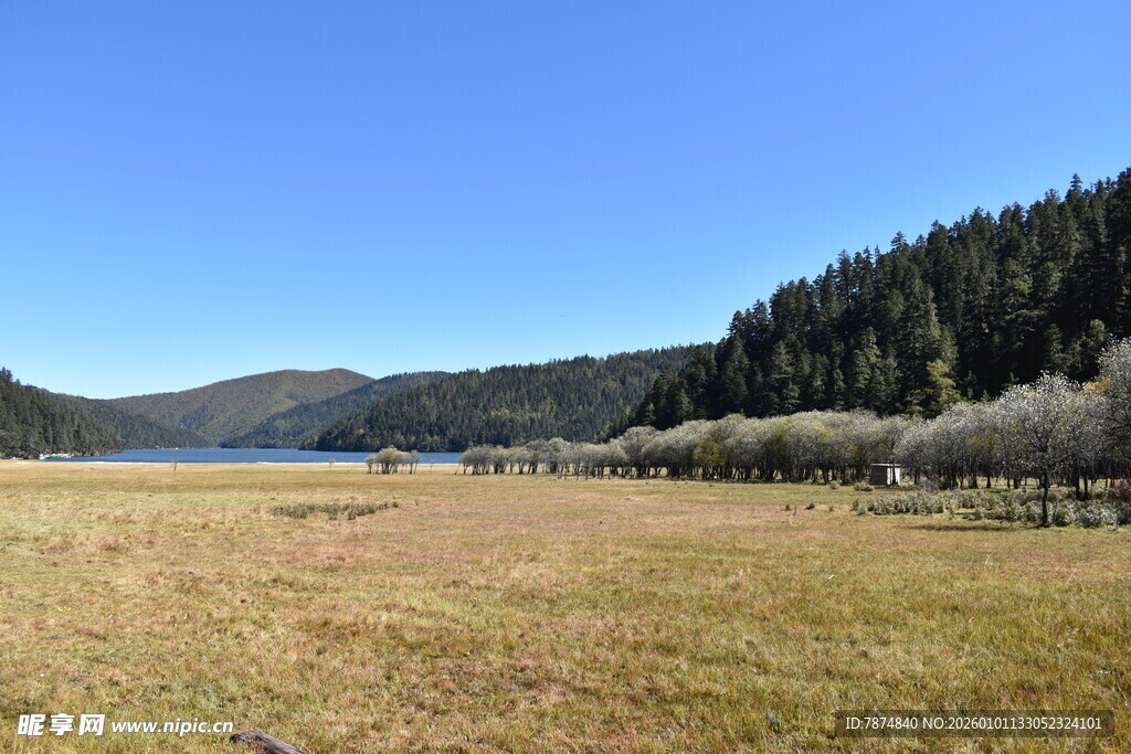 草原山林间的开阔美景