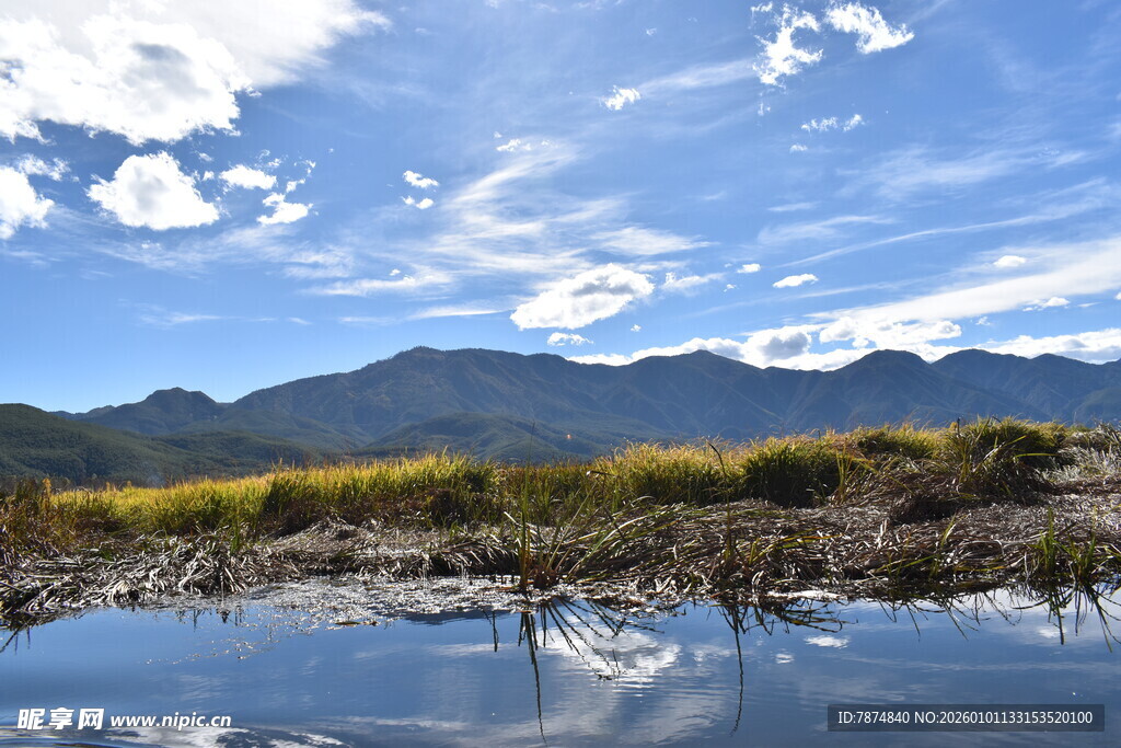 湖畔美景 远山黄花映蓝天