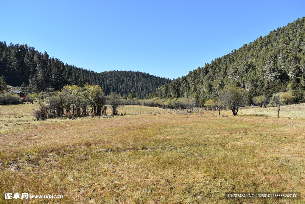 山间开阔草地自然风光