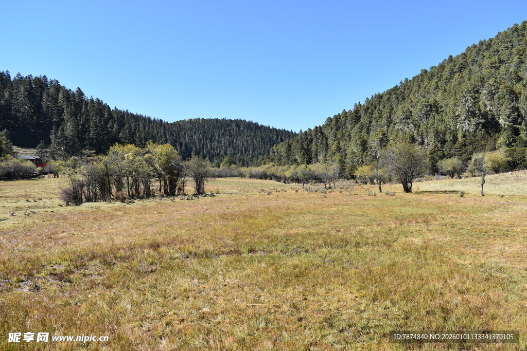 山间开阔草地风景