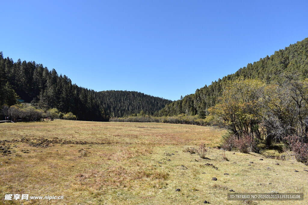 山间开阔草地风景