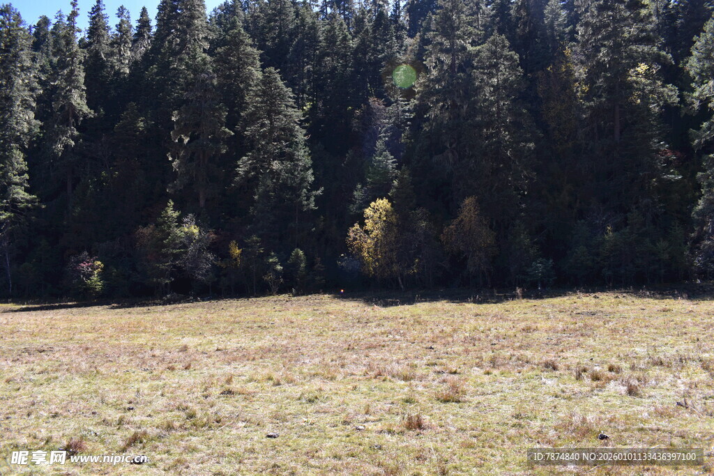 山林边的开阔草地