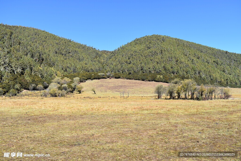 山间开阔草地风景