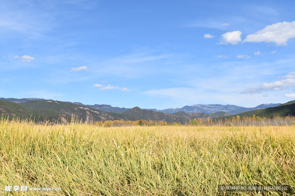 广袤草原与远处山峦蓝天