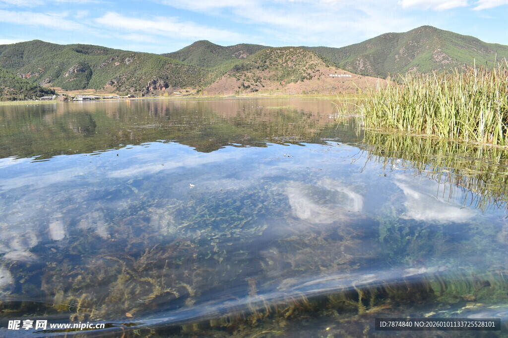 湖畔湿地风光 水草映远山