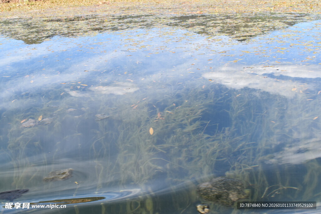 清澈水面下的山林倒影