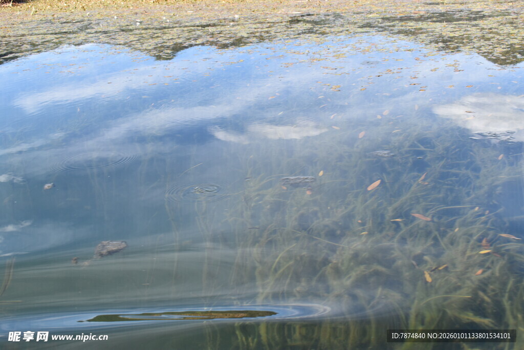 水面倒影下的朦胧景致