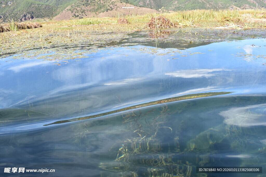 波光粼粼的水面与岸边景色