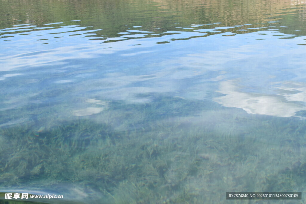清澈水面下的水草景观