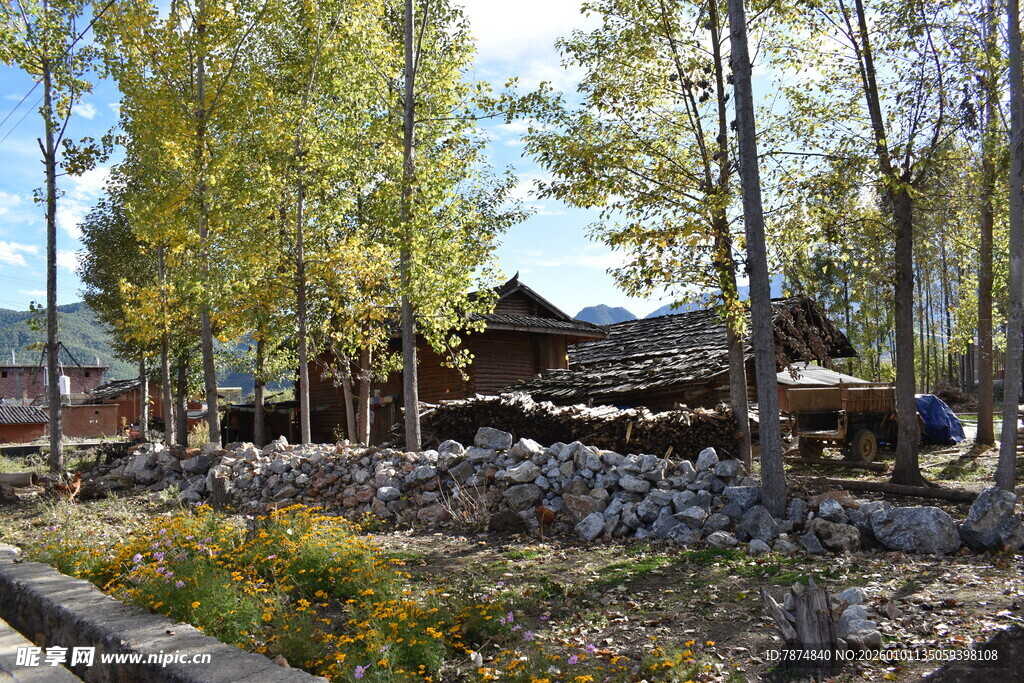 林间木屋的静谧景致