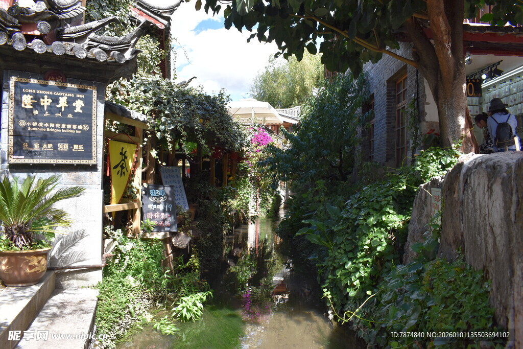 古雅小巷中的绿植景致