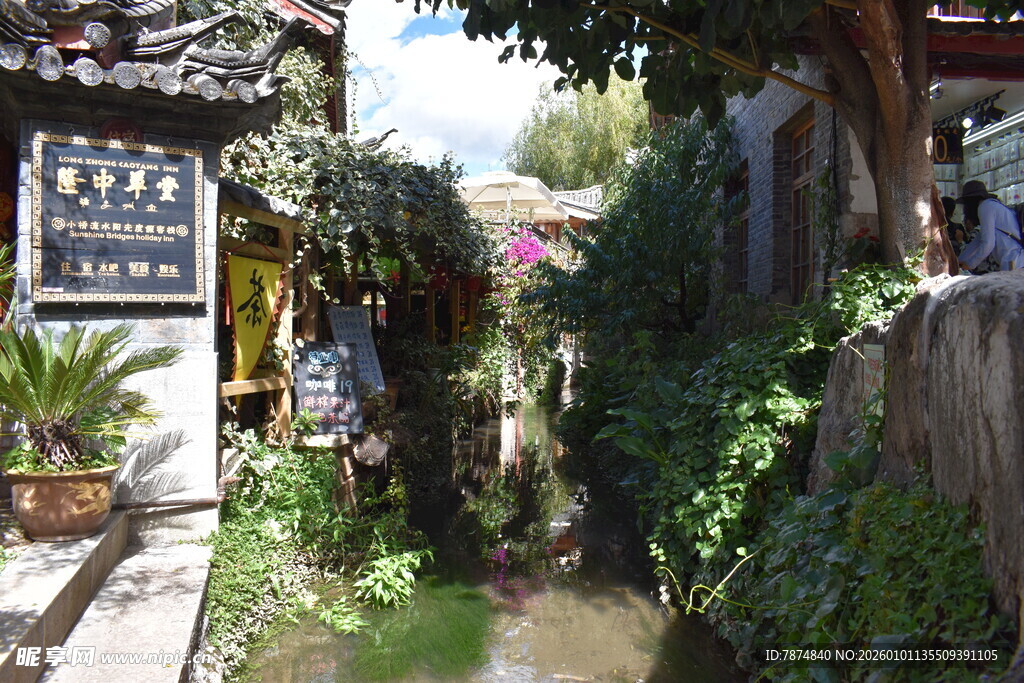 古巷溪流旁的静谧景致