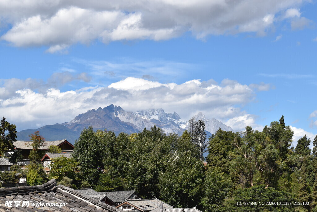 雪山下的葱郁森林景观