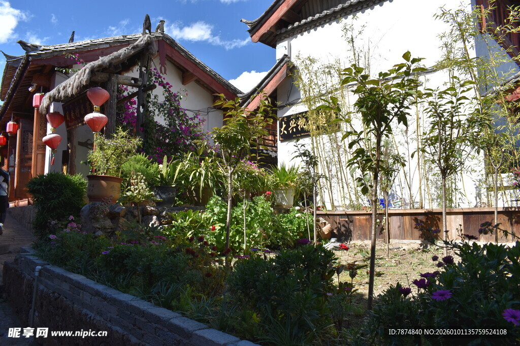 庭院绿植环绕的美丽民居