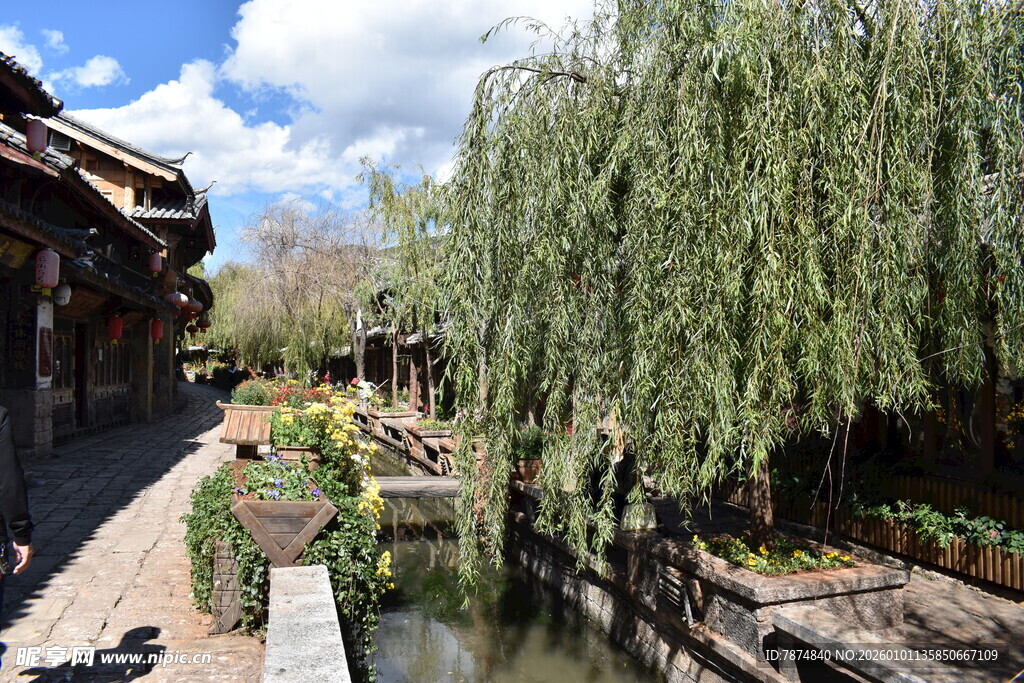 古巷垂柳伴流水