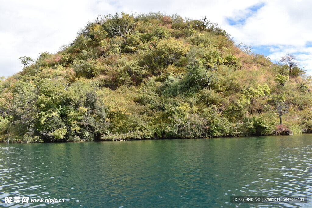 湖中小岛绿意盎然