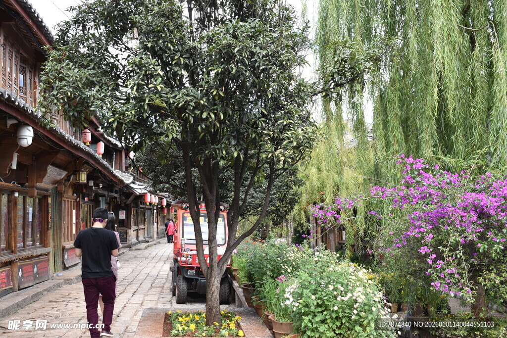 古巷繁花间的悠闲漫步