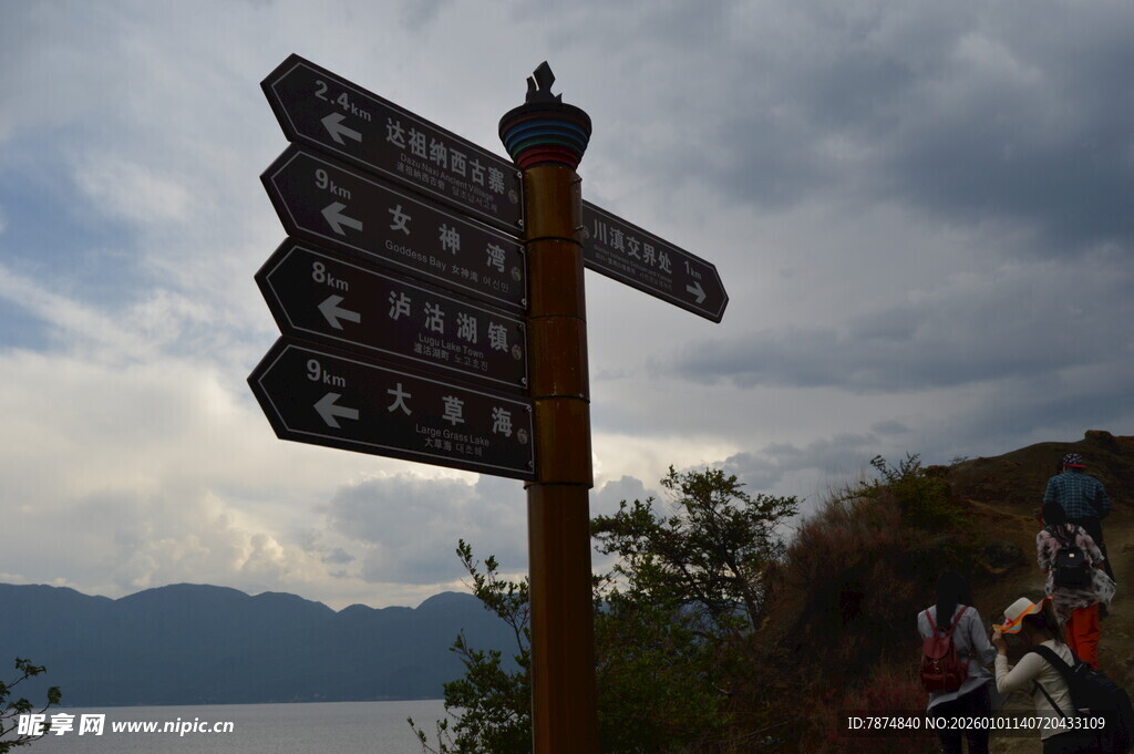 路标指示牌指引多样方向