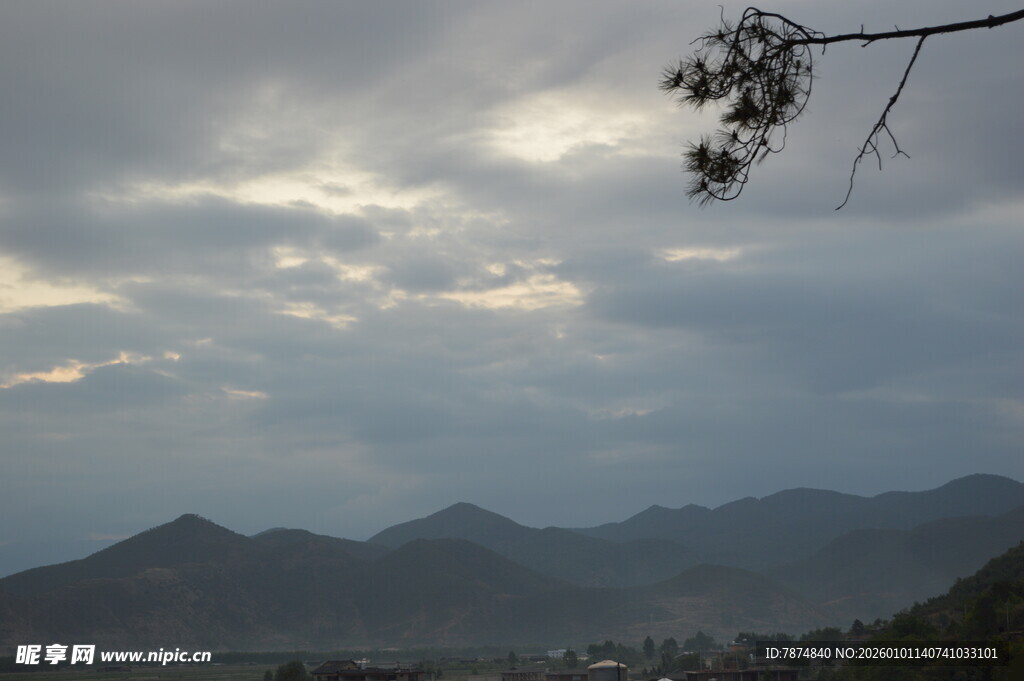 山间暮色 枝头伴云景