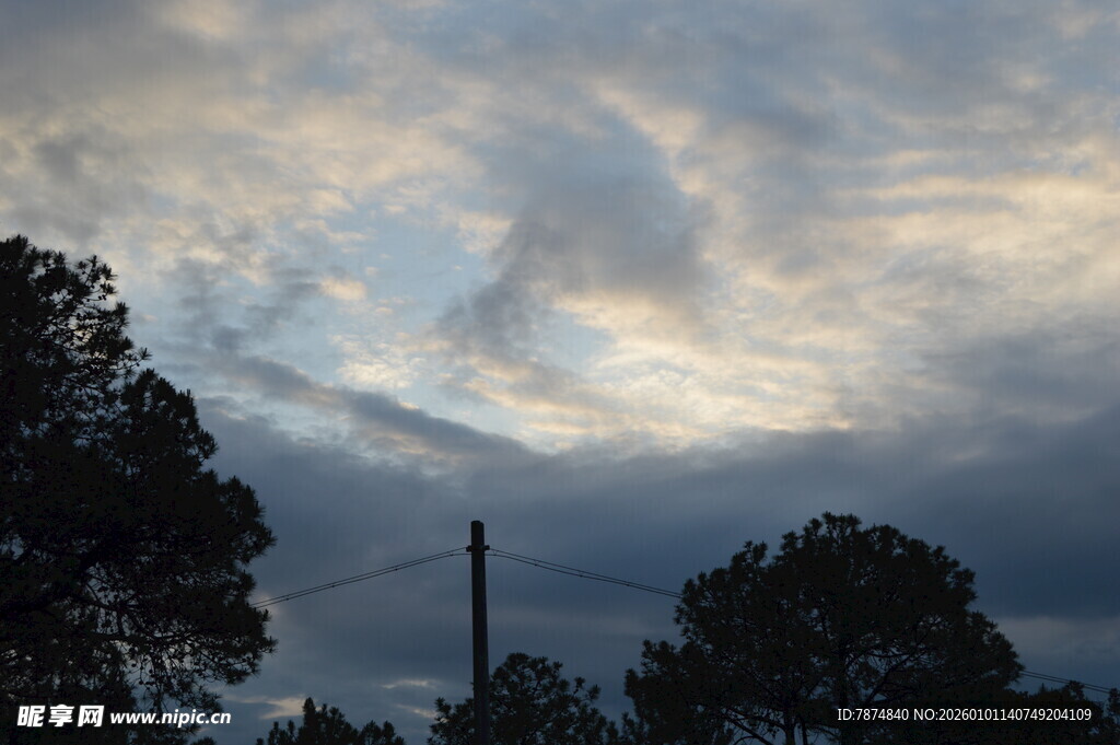 黄昏时分的天空与树木