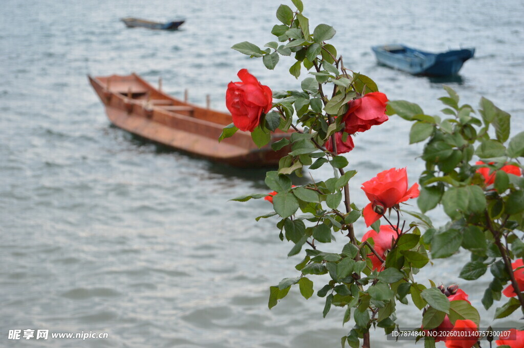 水边红花与停泊小船