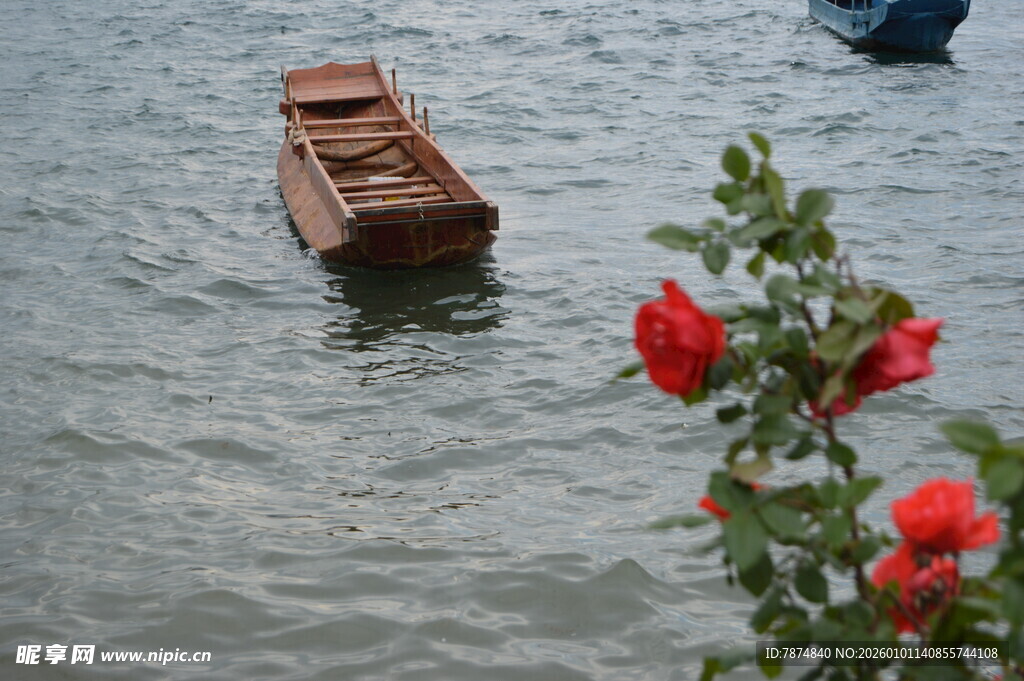 水上小船伴娇艳红花