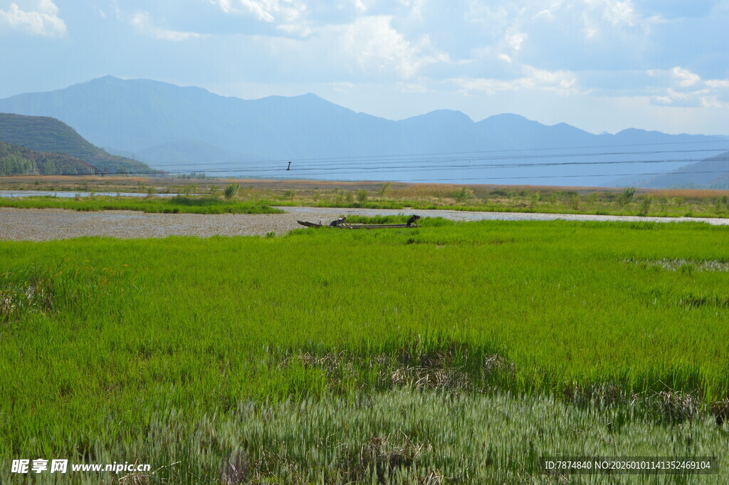 绿野稻田 远山蓝天景
