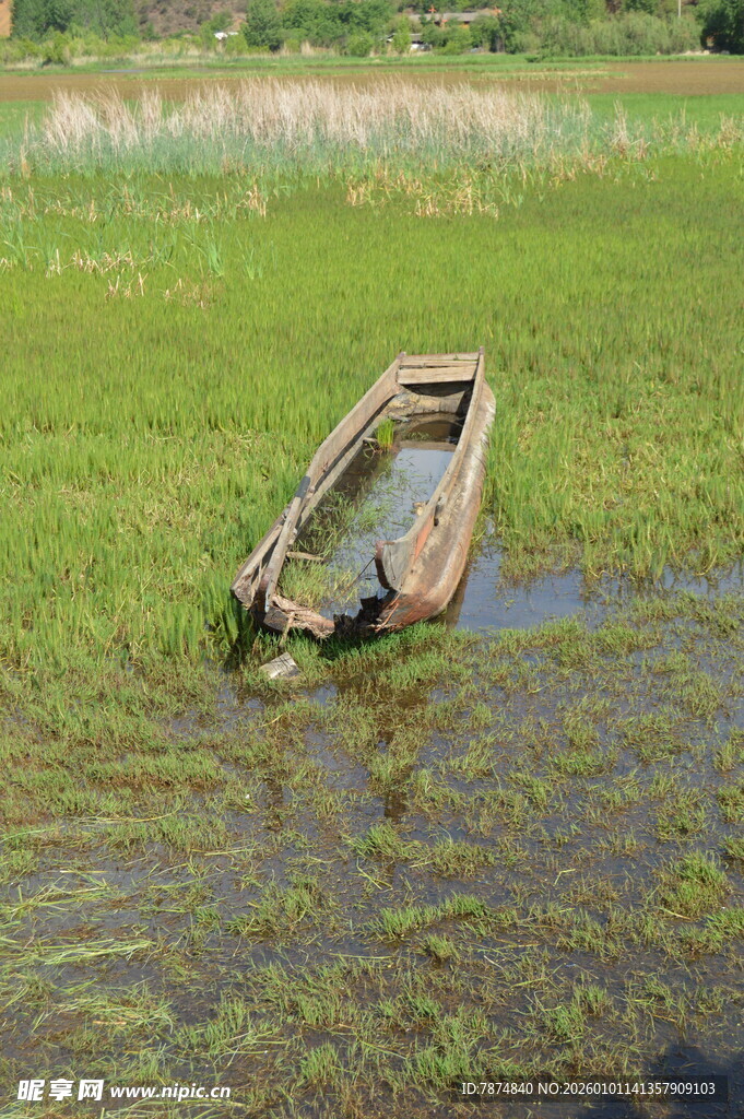 荒草中的破旧小船