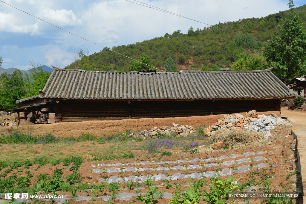 乡村古朴瓦房 田野环绕