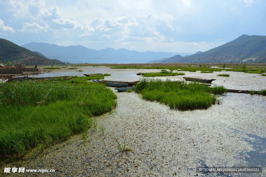 山间湿地美景