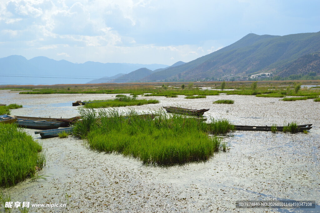 湿地风光 水草与远山相映