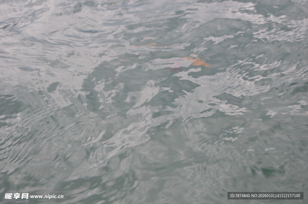 水面上的漂浮物