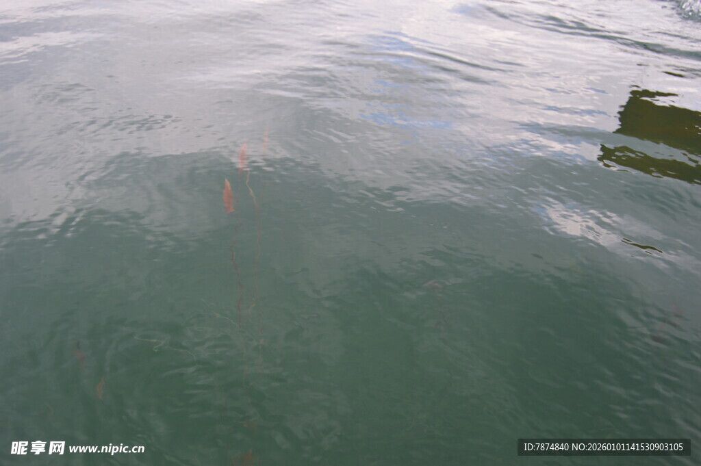 水下景象 隐约可见物体