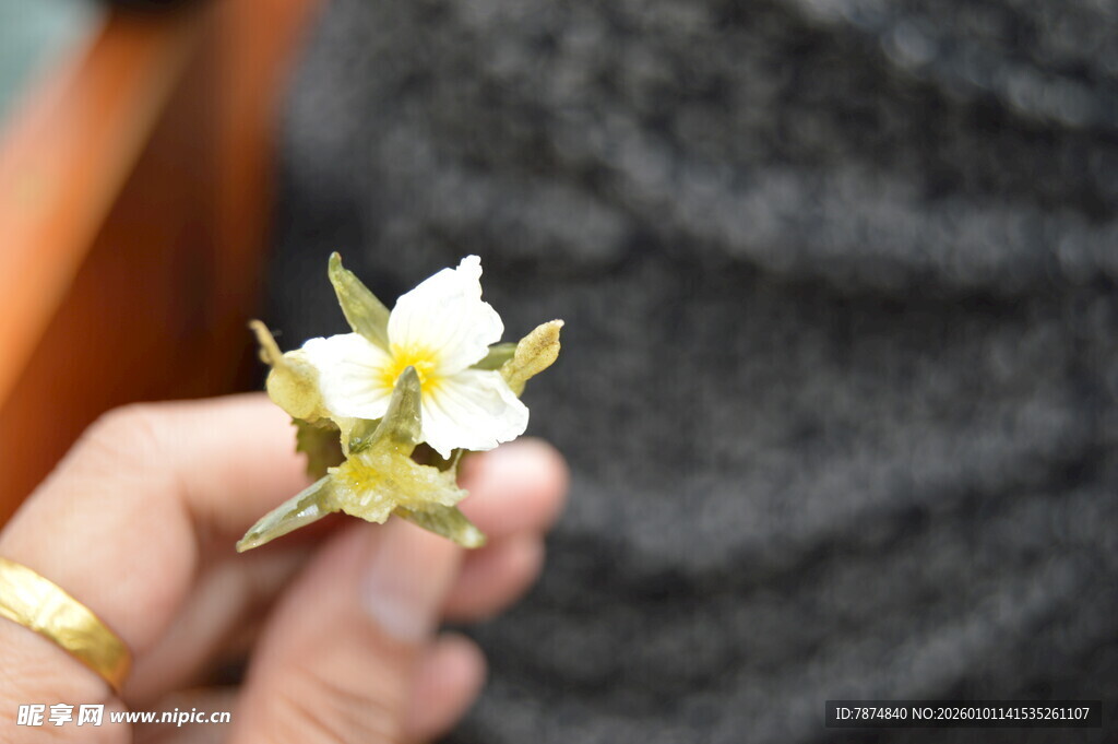 手持精致花朵造型金饰品
